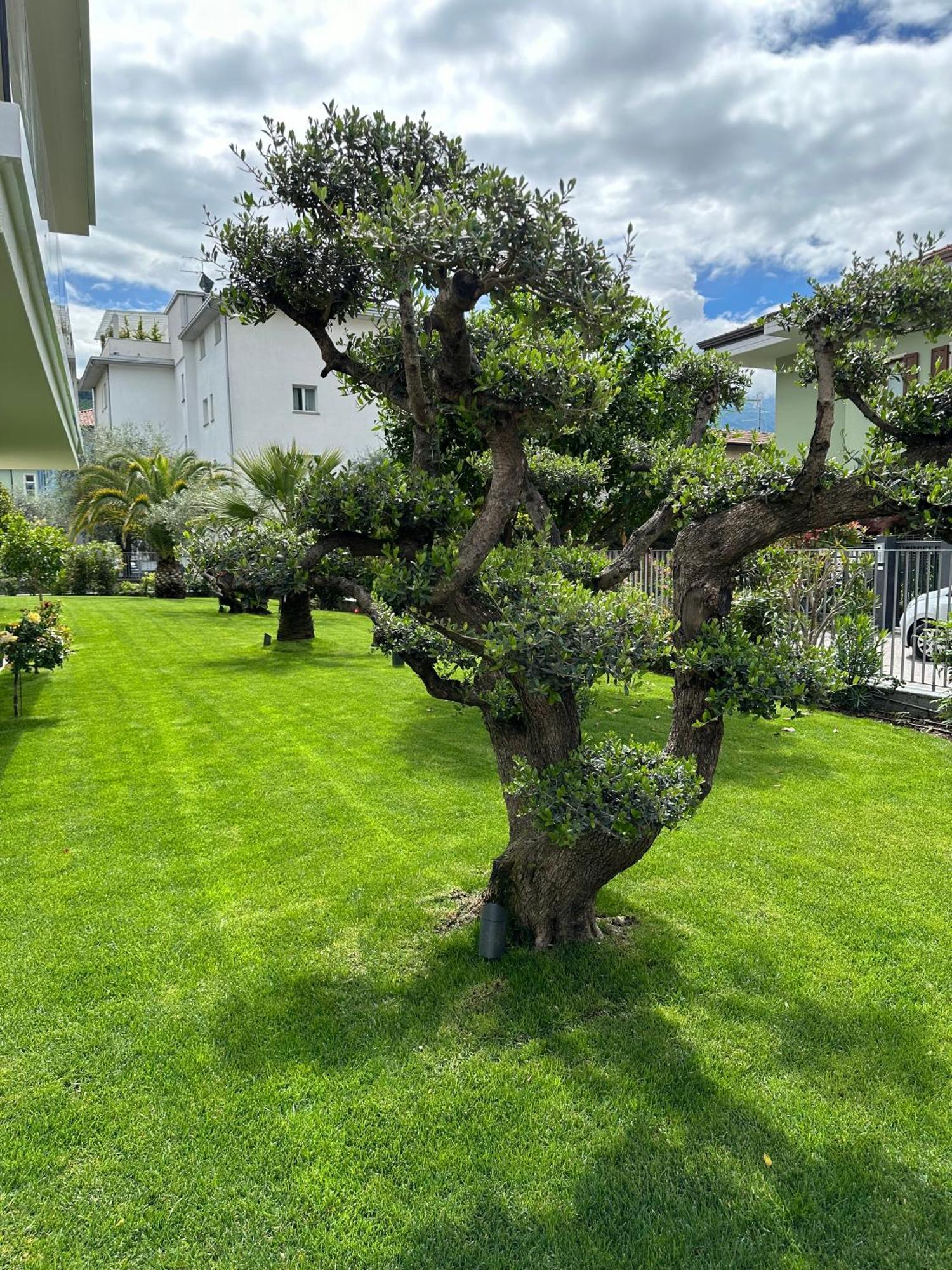 Residence Villa Dalila - Appartamento Dalila Riva del Garda Eksteriør billede